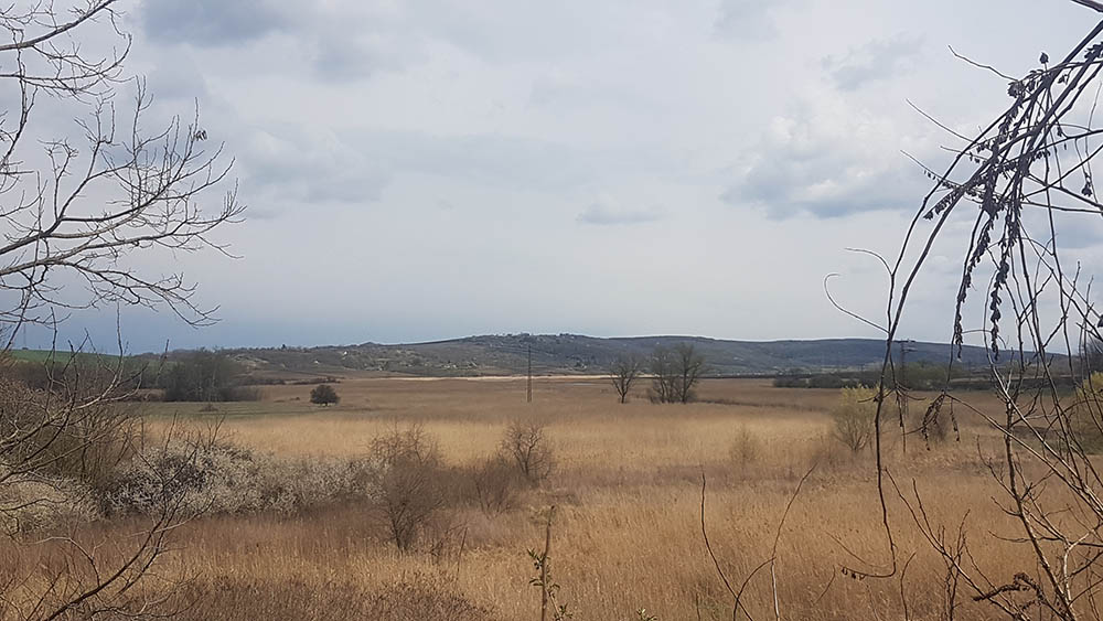 Fotó