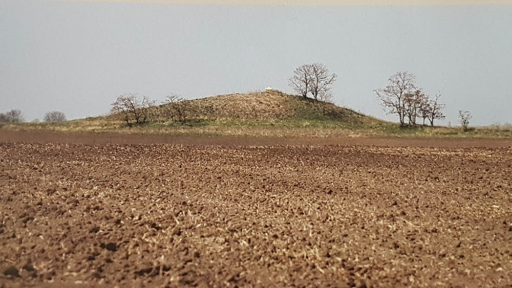 Fotó
