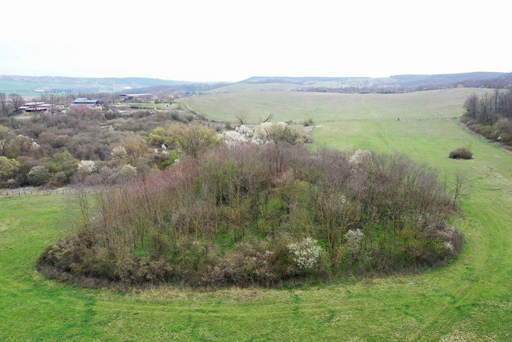 Fotó
