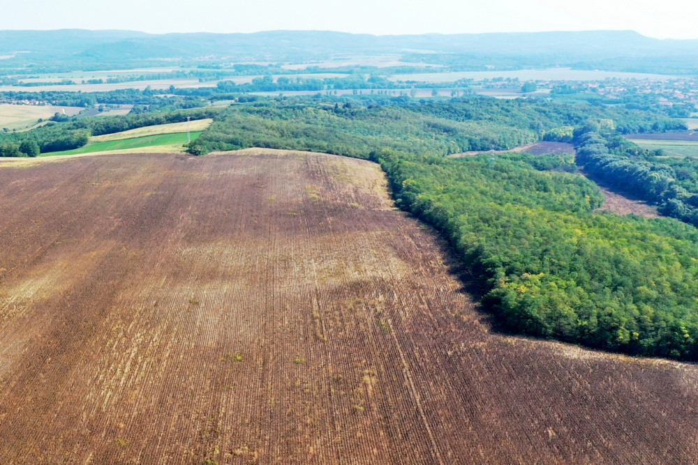 Egykoron a képen látható dombtetőn is volt élet. Vagy egy állomás, vagy  ..