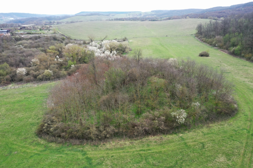Tovább folytatva az utat , változatlanul ebben a háromszáz méteres sávban ..