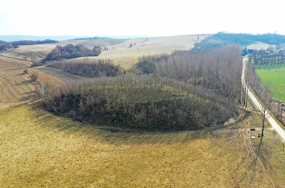 Fotó