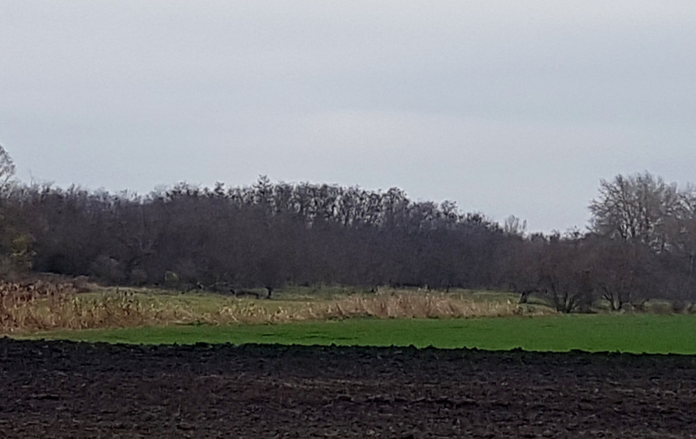 Csép község külterületén, egy elkerített magánterületen van a következ..